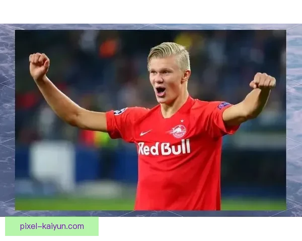 哈兰德转会创纪录：1亿欧元加盟新球队表现值得关注