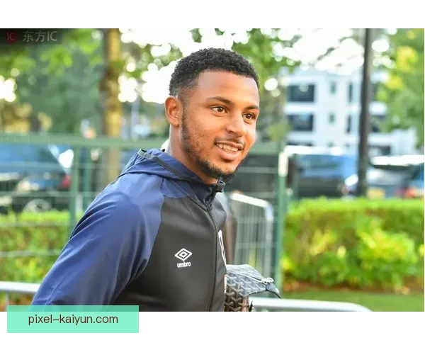 英超伯恩茅斯转会窗动态分析，球队引援策略备受关注